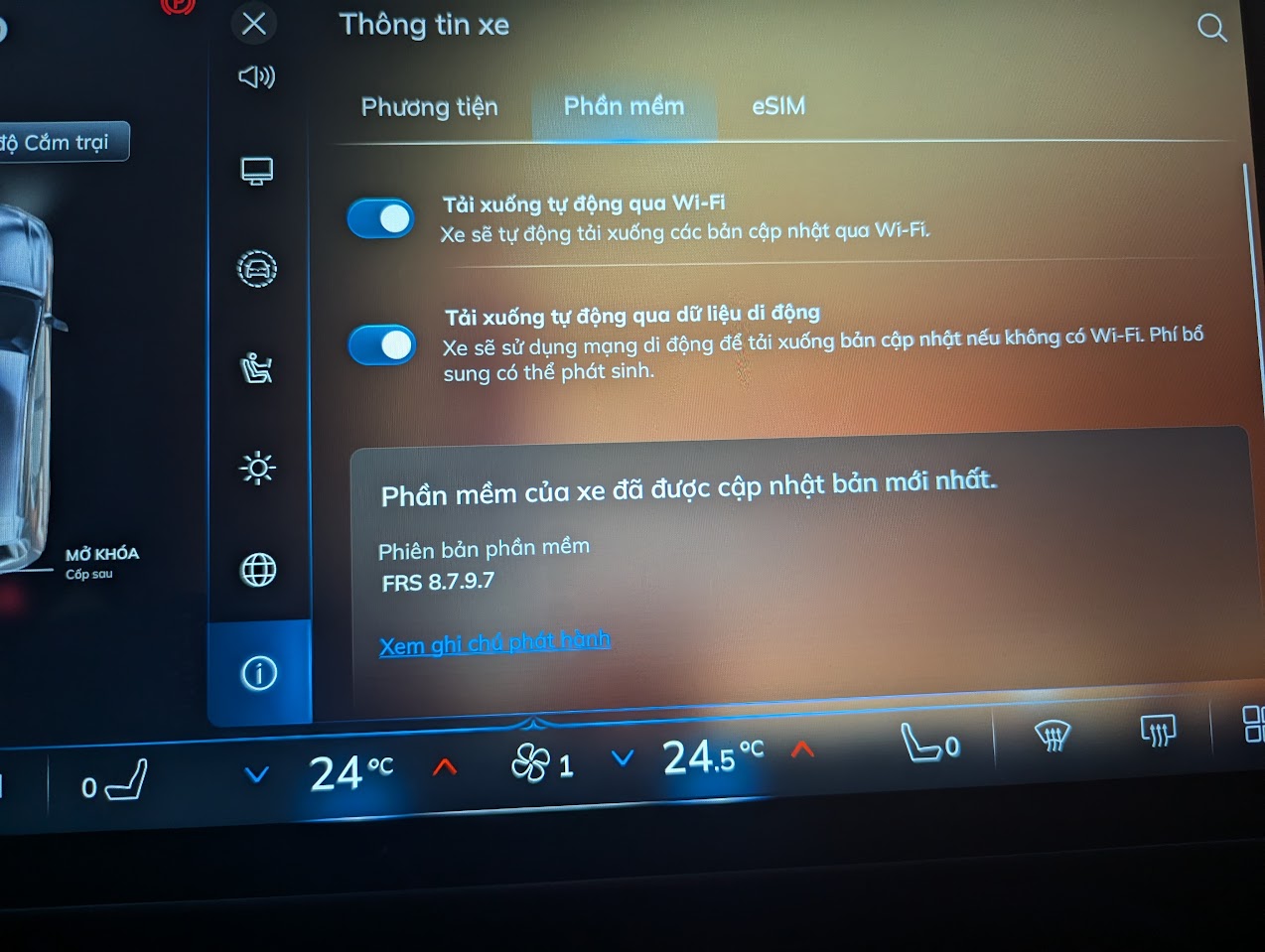 PXL_20241119_102818933