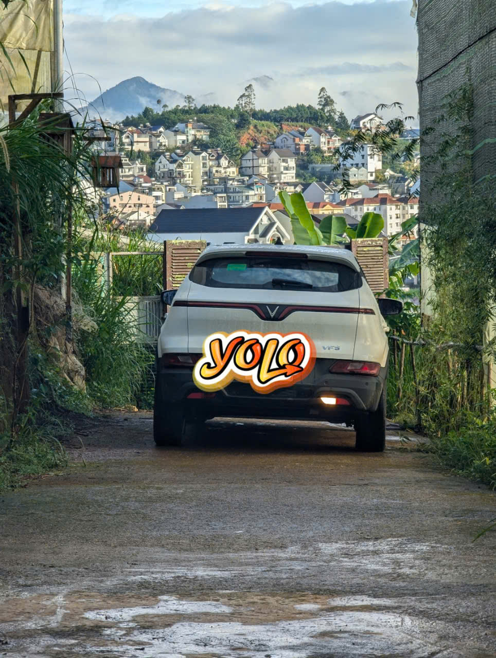 z6040598969347_8e7a2ddcd02e1f1534c7e49ce832fc98