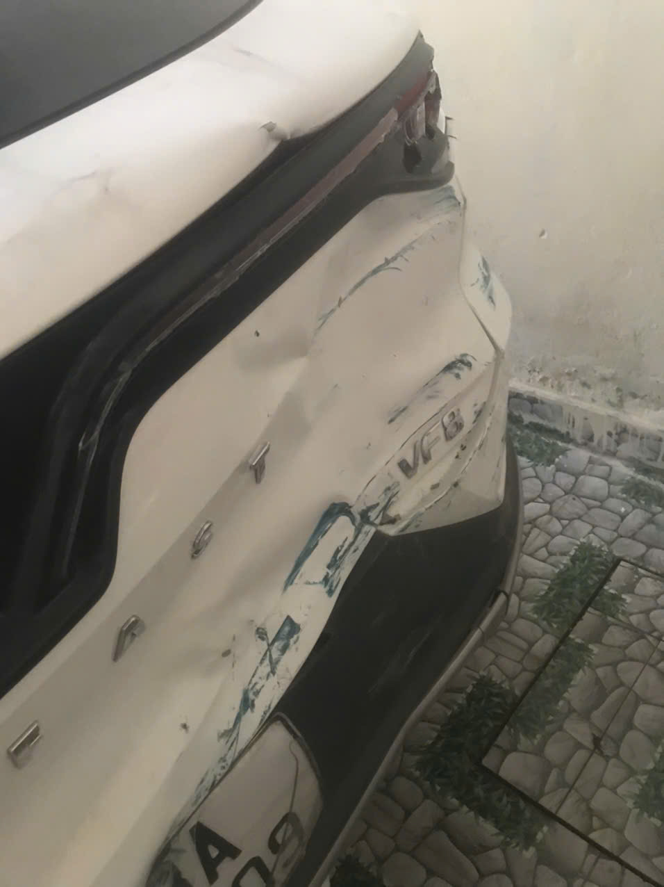 z6034146105740_359c3acbfeb719df194a4a2bf8bc7d74