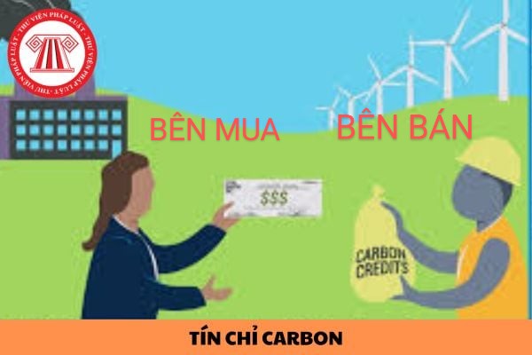tin-chi-carbon~2