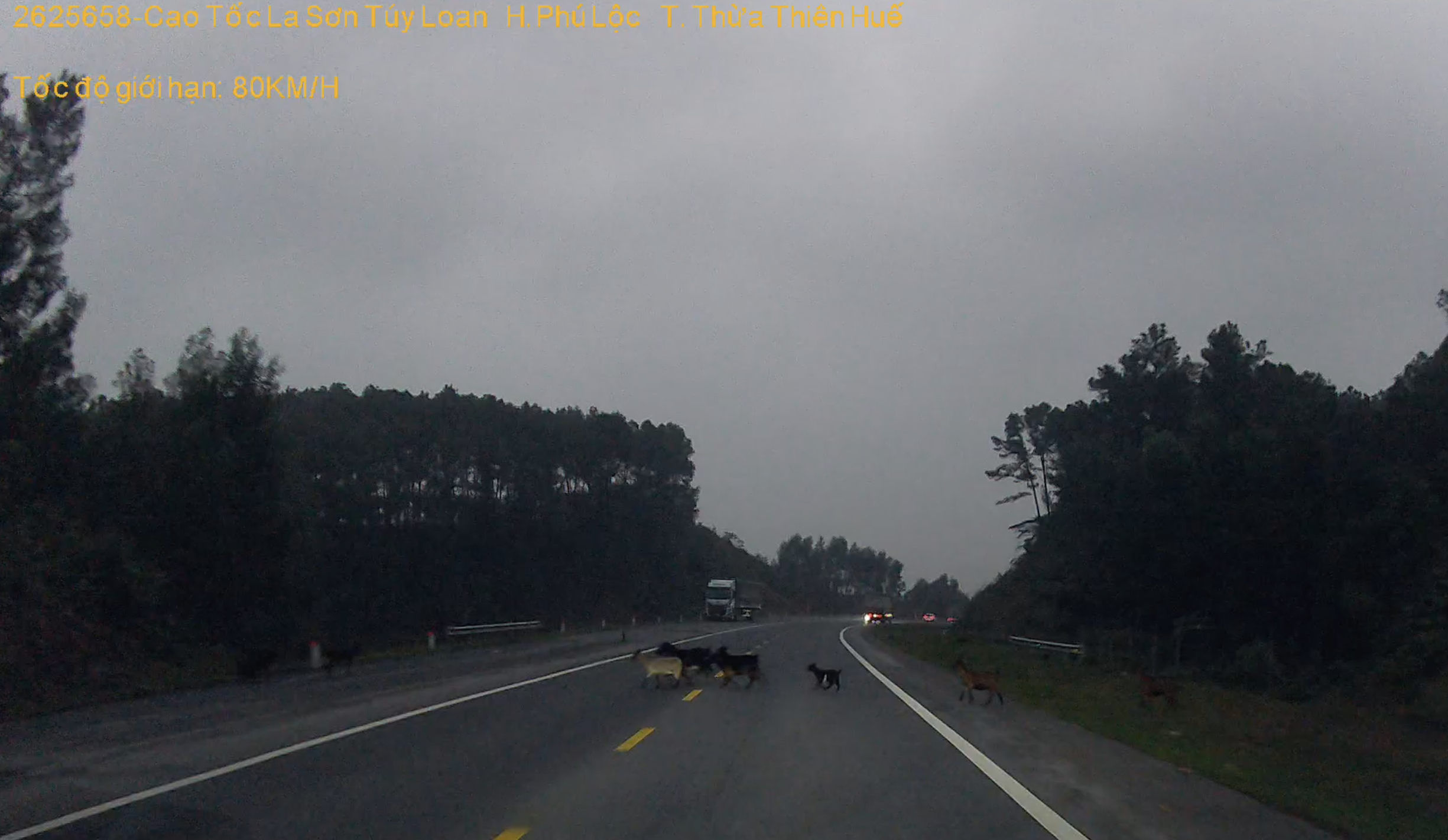 Ảnh chụp Màn hình 2025-01-02 lúc 8.50.42 SA