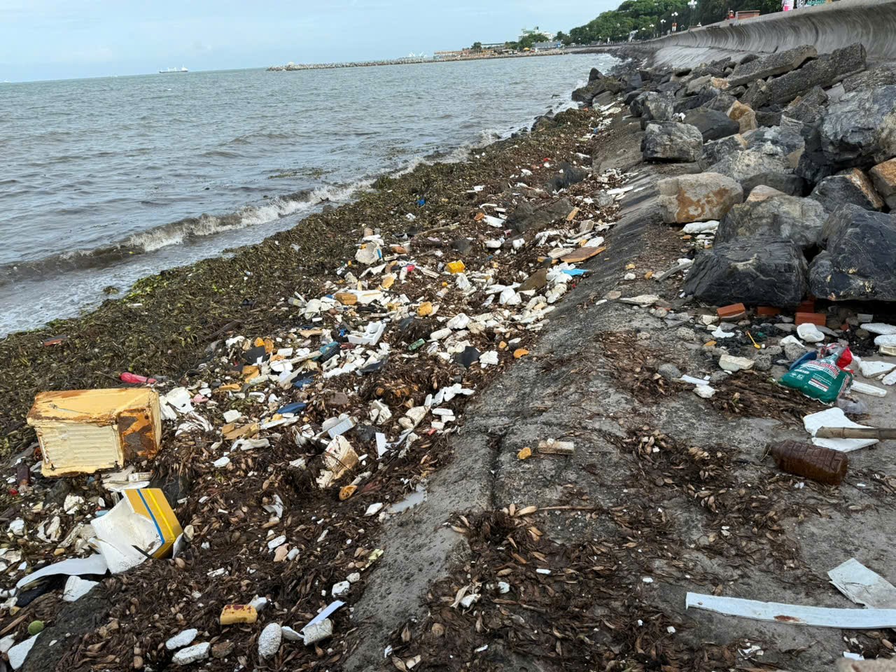 img_1749348250200_1749350679668