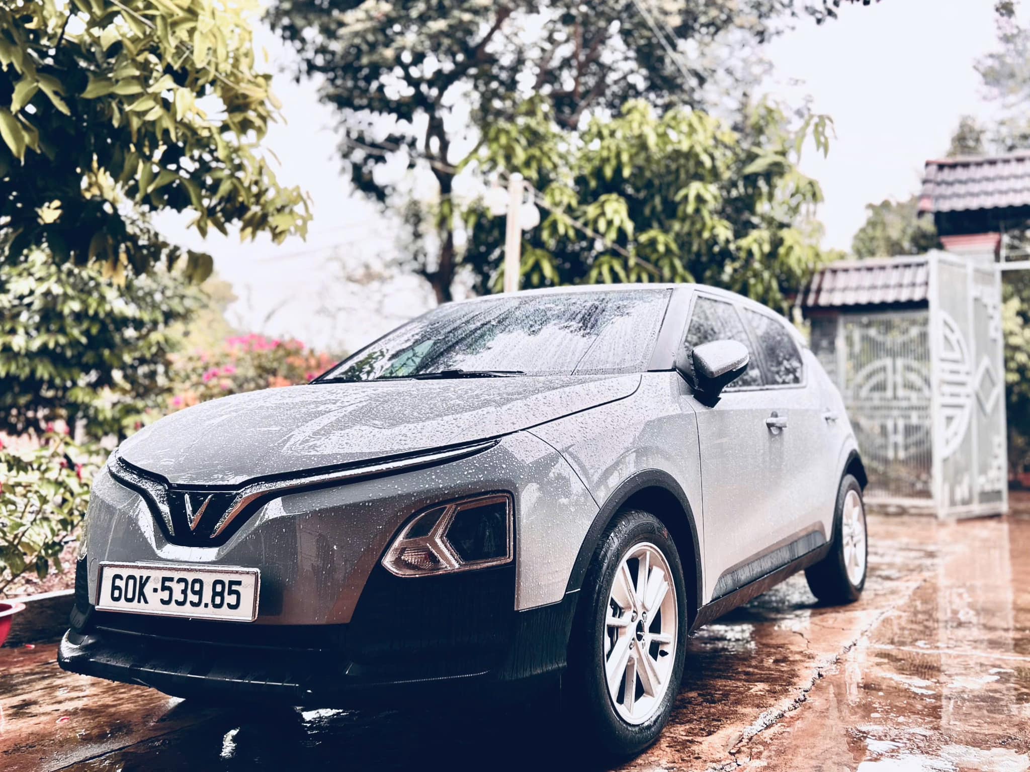 483841477_1724807251431333_1928572345289100860_n