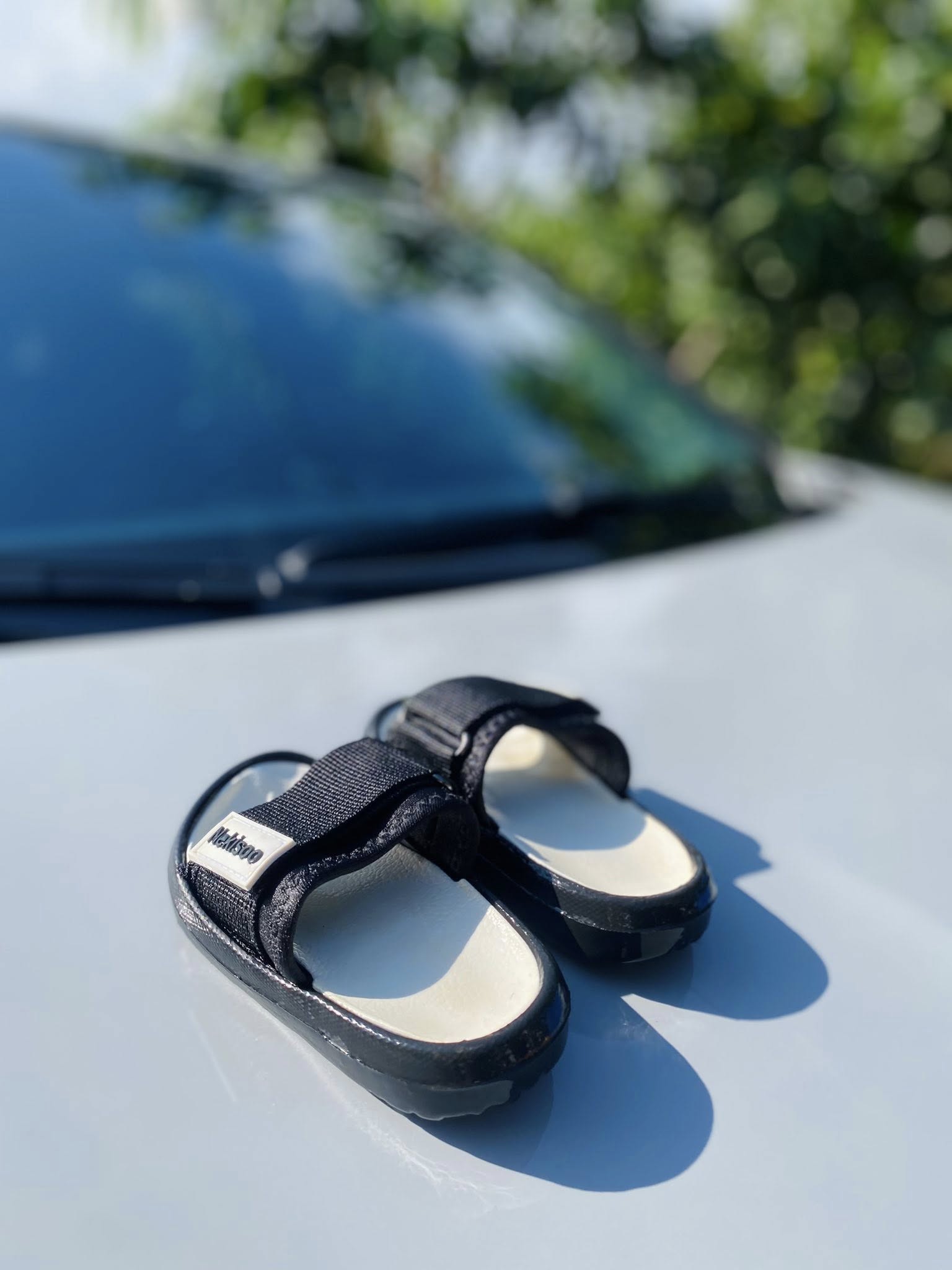 498136554_1773455883233136_2343888095899694518_n