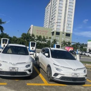 Ảnh đại diện của Hải Lê Như