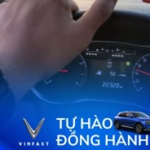 Ảnh đại diện của Toàn Nguyễn
