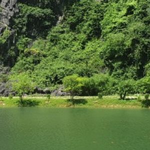 Ảnh đại diện của Thuận Nguyễn Văn