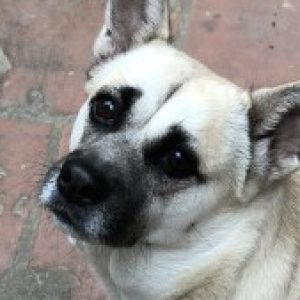 Ảnh đại diện của Điệp Hà