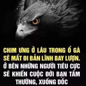 Ảnh đại diện của Trần Thủy