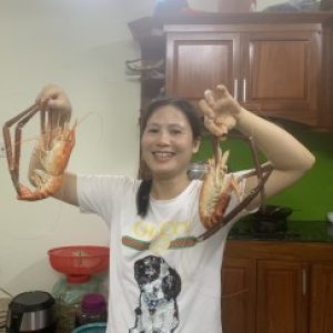 Ảnh đại diện của Lê Hữu Quang