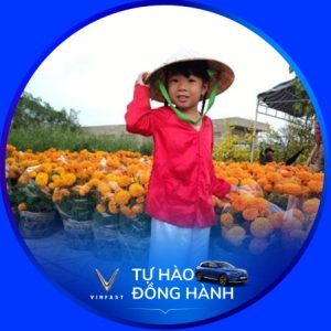 Ảnh đại diện của Hùng Trần