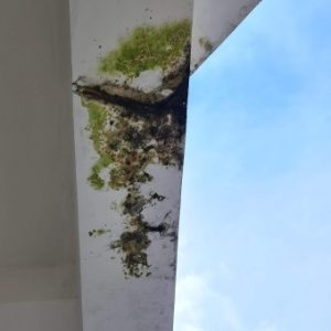 Ảnh đại diện của Tân Hồ