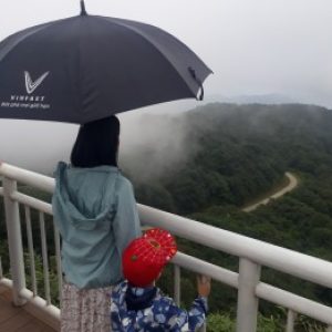 Ảnh đại diện của Thế Hiền Ngô