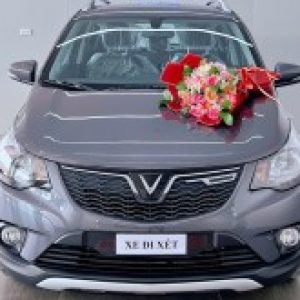 Ảnh đại diện của Phượng Trần Xuân