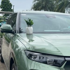Ảnh đại diện của Truong Ngo Anh