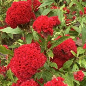 Ảnh đại diện của Hưng Phan