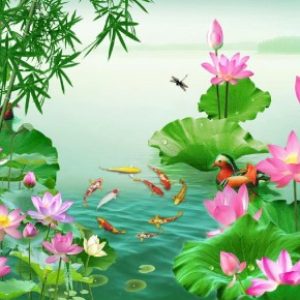 Ảnh đại diện của Phạm Ngọc Tiến Phạm Ngọc Tiến
