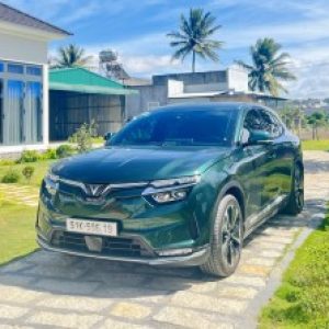 Ảnh đại diện của The Quyen Vo
