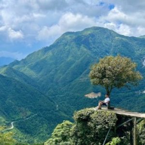 Ảnh đại diện của Avan Cung
