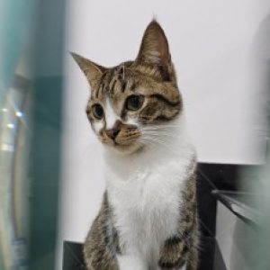 Ảnh đại diện của Dũng