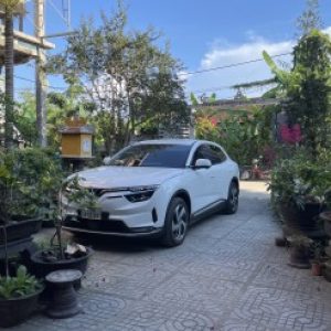 Ảnh đại diện của Phương Nguyễn Hoàng