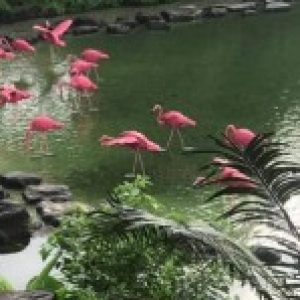 Ảnh đại diện của Tam Nguyen Doan Minh
