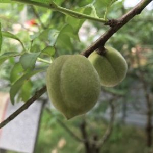 Ảnh đại diện của TRINH PHAM