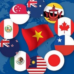 Ảnh đại diện của Hiệu Nguyễn Hữu