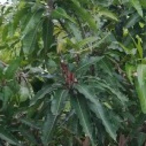 Ảnh đại diện của Công ty Trách Nhiệm Hữu Hạn Ngân Huê Công ty Trách Nhiệm Hữu Hạn Ngân Huê