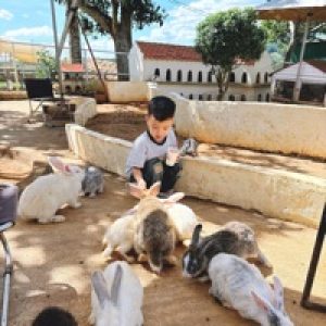 Ảnh đại diện của Tạ Vinh