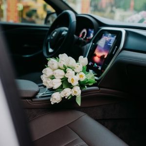 Ảnh đại diện của Lâm Xuân Bắc