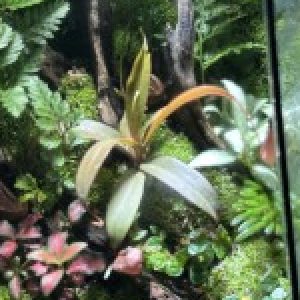 Ảnh đại diện của Phan Quân