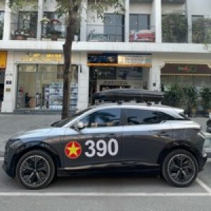 Ảnh đại diện của Phương