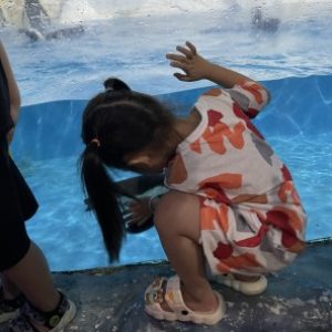 Ảnh đại diện của Tùng Nguyễn Văn