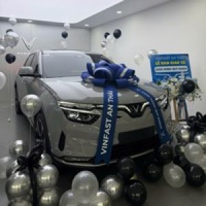 Ảnh đại diện của Triều Hoàng Việt