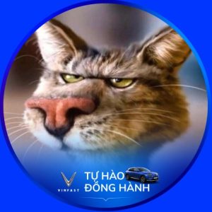 Ảnh đại diện của Thịnh Nguyễn Đức