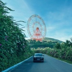Ảnh đại diện của Bùi Đình Hiếu